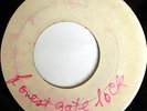 rare Jamaica Reggae Blank 45 ANN REID remember when