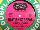 IRATION STEPPAS : WHAT'S WRONG / TANDOORI SPACE 10