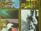 SONIC YOUTH 