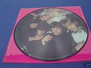 Rolling Stones Picture Disc mit Brian Jones Lp Vinyl