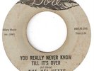 NORTHERN SOUL THE VEL-VETTS YOU NEVER REALLY KNOW DORE