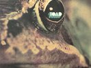 PROG-LP- TOAD-SAME- HALLELUJAH-D- MINT