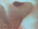 Pink Floyd Meddle ORG UK 1971 LP Textured Gatefold NM
