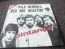 BINTANGS see me waitin DUTCH FUZZ MOD nederbeat 45
