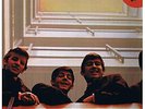 BEATLES ALTERN. PLEASE PLEASE ME red Vin lim Ed 275/100