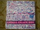 ANIMAL COLLECTIVE 