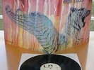 LP/ AMON DUUL - WOLF CITY - Orig Ger UA '72 KRAUT PSYCH