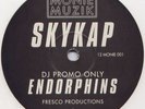 SKYKAP - ENDORPHINS **  UK GARAGE ANTHEM **
