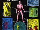 MASSIVE RARE UK PROG BREAKS LP SEVEN AGES OF MAN