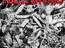 INSECT WARFARE At War 7