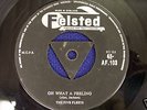 FELSTED OH WHAT A FEELING THE FIVE FLEETS VINYL RECORD