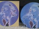 Madonna - Erotica RARE Picture Disc
