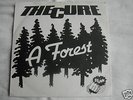 THE CURE A Forest NZ New Zealand Stunn 7