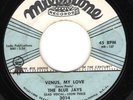 HEAR DOO WOP THE BLUE JAYS 