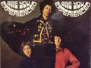Jimi Hendrix Experience LP Are You Experienced mono