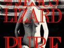 Jesus Lizard - Pure  12
