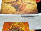 Alice In Chains - Dirt,  Korea LP.