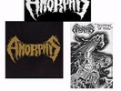 Amorphis Beginning Pack