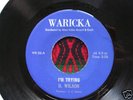 DELROY WILSON I'M TRYING SIR COLLINS ROCKSTEADY 45 MP3