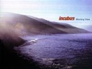 INCUBUS MORNING VIEW SEALED LP OOP