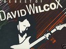 THE BEST OF DAVID WILCOX LP-ST6652-CANADA PRESS-ROCK-NM