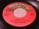 BLUE SCEPTER Rare Detroit Hard Rock 45 SRC STOOGES HEAR