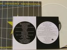 DESERT SESSIONS 5&6 LP White Vinyl (Kyuss QOTSA)