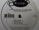 NATURAL ELEMENTS EP RARE FORTRESS 1994 OG