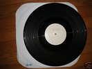 BLOOD FOR BLOOD livin in LP Victory punk Test Press