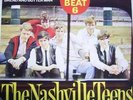 Nashville Teens EP DECCA  D 60er Teen Beat 6   sehr rar