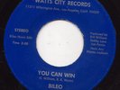 NORTHERN SOUL / MODERN BILEO ON WATTS CITY FUNK 45