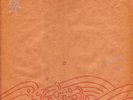 FOAM - YLEM Rec. MINIMAL w/RNA Organism, Vanity AGATA