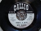 WES DAKUS AND THE REBELS SURFS U RITE/DOG FOOD SURF 45