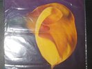 SWANS - The Burning World Vinyl LP michael gira jarboe