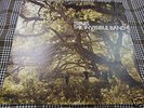 TRAVIS.THE INVISIBLE BAND.UK ORG VINYL LP.N MINT