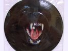 David Bowie Cat People *RARE* Promo Picture Disc