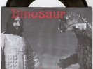 Dinosaur Jr 