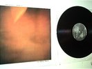 Maurizio Bianchi-The Plain Truth (1983 LP, industrial)