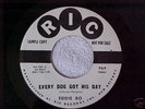 EDDIE BO   EVERY DOG GOT HIS DAY   RIC 969   **PROMO**