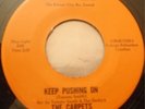 THE CARPETS - KEEP ON PUSHING - RARE NORTHERN - MP3