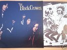 THE BLACK CROWES   