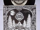 DARK TRANQUILLITY -  1ST VINYL EP   