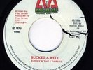 BUNNY & I THREES-BUCKET A WELL- RARE ROOTS REGGAE 45 7