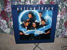 ACTIVE FORCE SAME LP