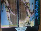 WIDESPREAD PANIC Space Wrangler LP 1988 LANDSLIDE RARE