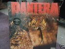 Pantera 