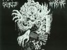 INSECT WARFARE / HATRED SURGE split 7 EP grind core