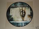 DARK TRANQUILLITY Haven RARE VINYL PICTURE LP enslaved