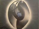 Rare Symphonic Prog Rock - William Sheller Lux Aeterna
