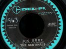 THE SENTINALS Big Sunset Beach DEL FI SURF GARAGE 45